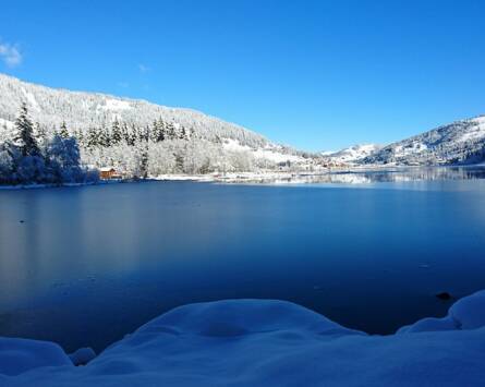 Lac Noir en hiver 17.02.2026